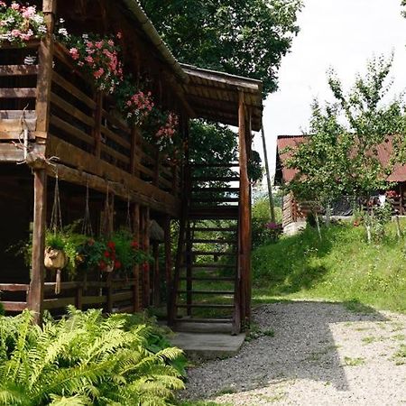 Cabana Victor Sighetu Marmaţiei Exterior foto