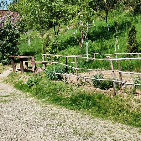 Cabana Victor Sighetu Marmaţiei Exterior foto
