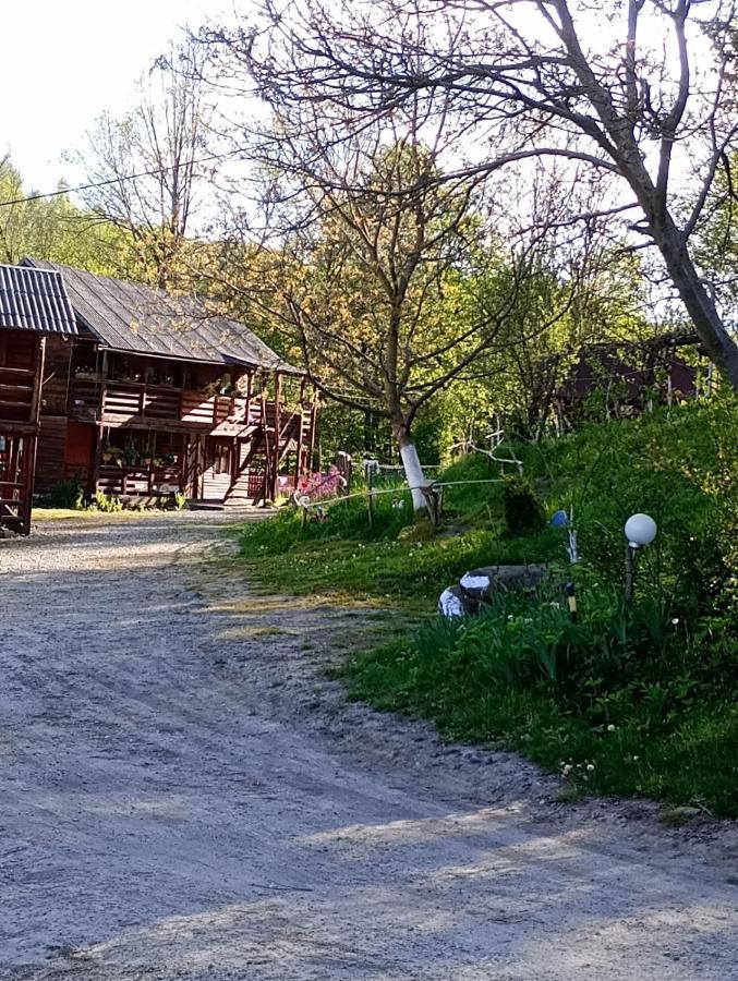 Cabana Victor Villa Sighetu Marmaţiei Exterior foto