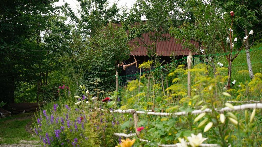 Cabana Victor Villa Sighetu Marmaţiei Exterior foto