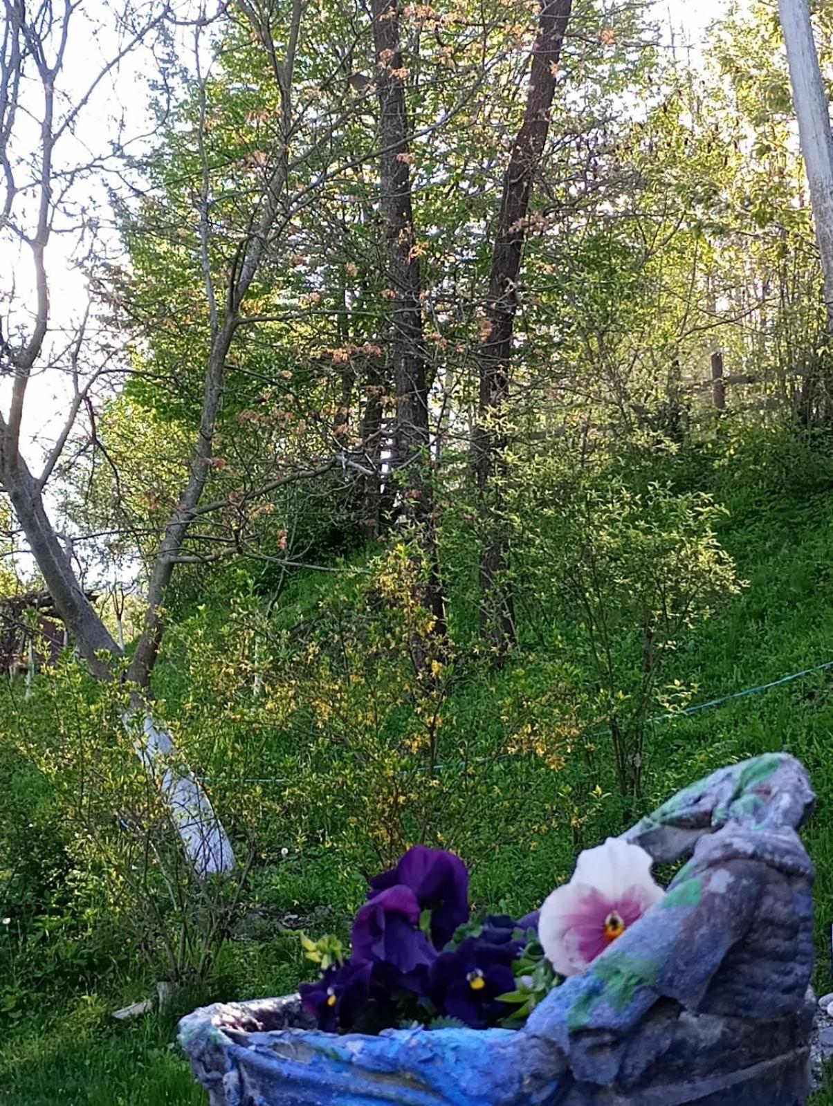 Cabana Victor Sighetu Marmaţiei Cameră foto