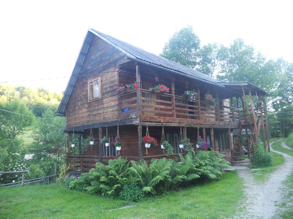 Cabana Victor Sighetu Marmaţiei Exterior foto