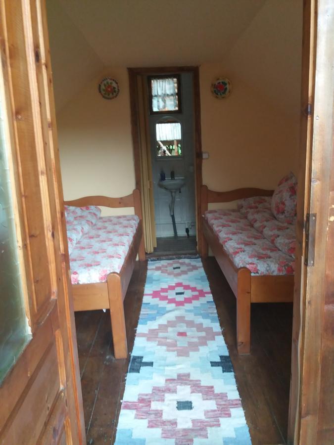 Cabana Victor Sighetu Marmaţiei Exterior foto