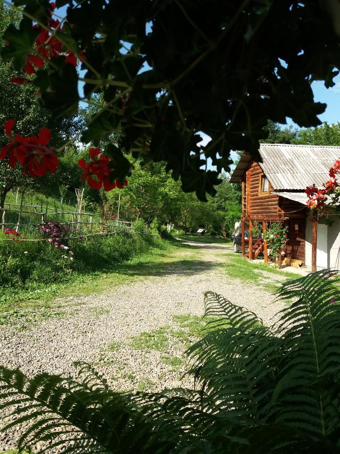 Cabana Victor Villa Sighetu Marmaţiei Exterior foto