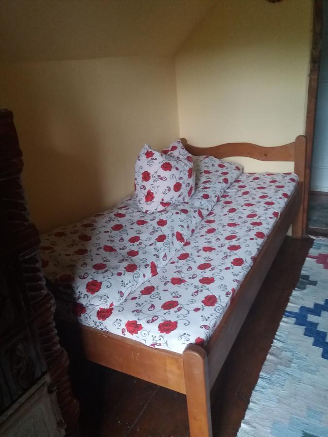 Cabana Victor Sighetu Marmaţiei Exterior foto
