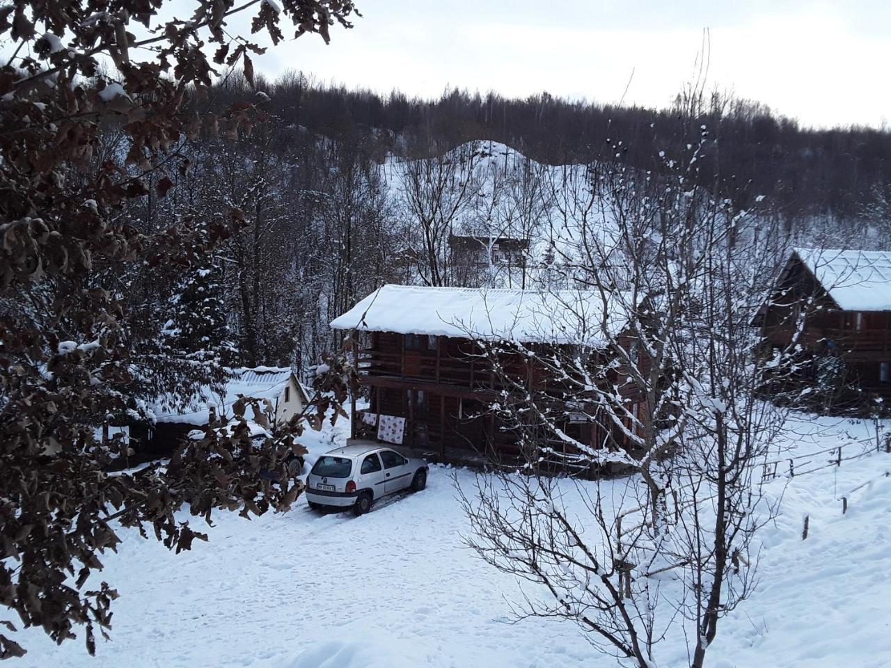 Cabana Victor Villa Sighetu Marmaţiei Exterior foto