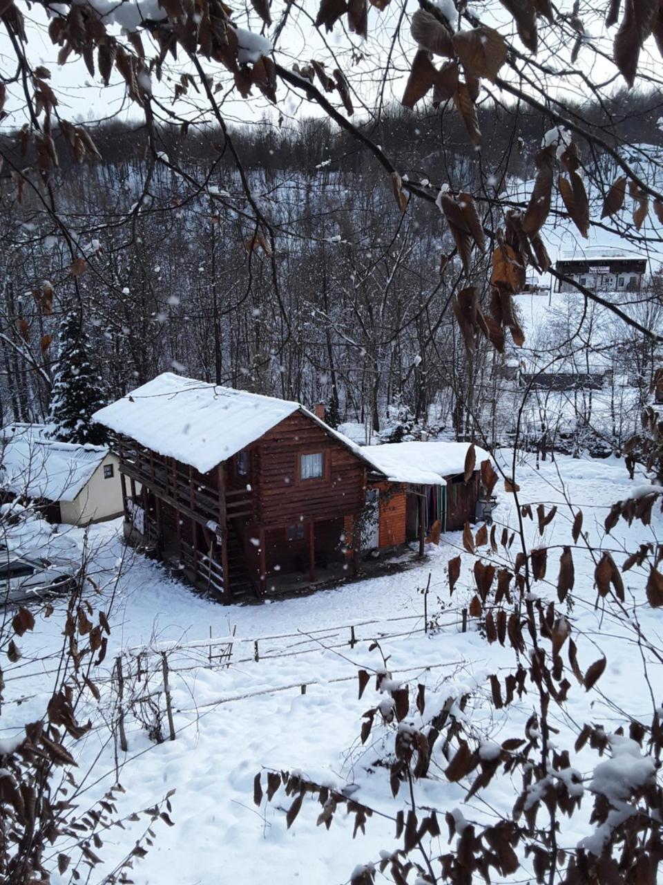 Cabana Victor Villa Sighetu Marmaţiei Exterior foto